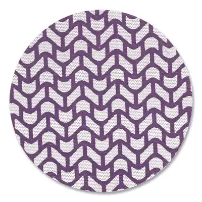 3M 7100288231 Xtract Cubitron II Net Disc 710W 5 in Diameter 180+ Grit