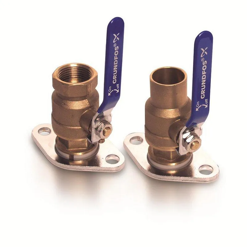 SK0512595-US20260702-105043-0 Grundfos 96806133 1-1/2 NPT Valve Kit - Image 1