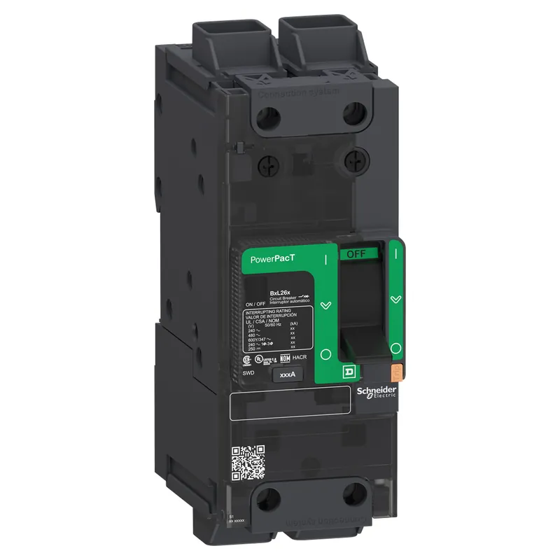 Schneider Electric BGL26125 Circuit Breaker Power 125A 2 Pole