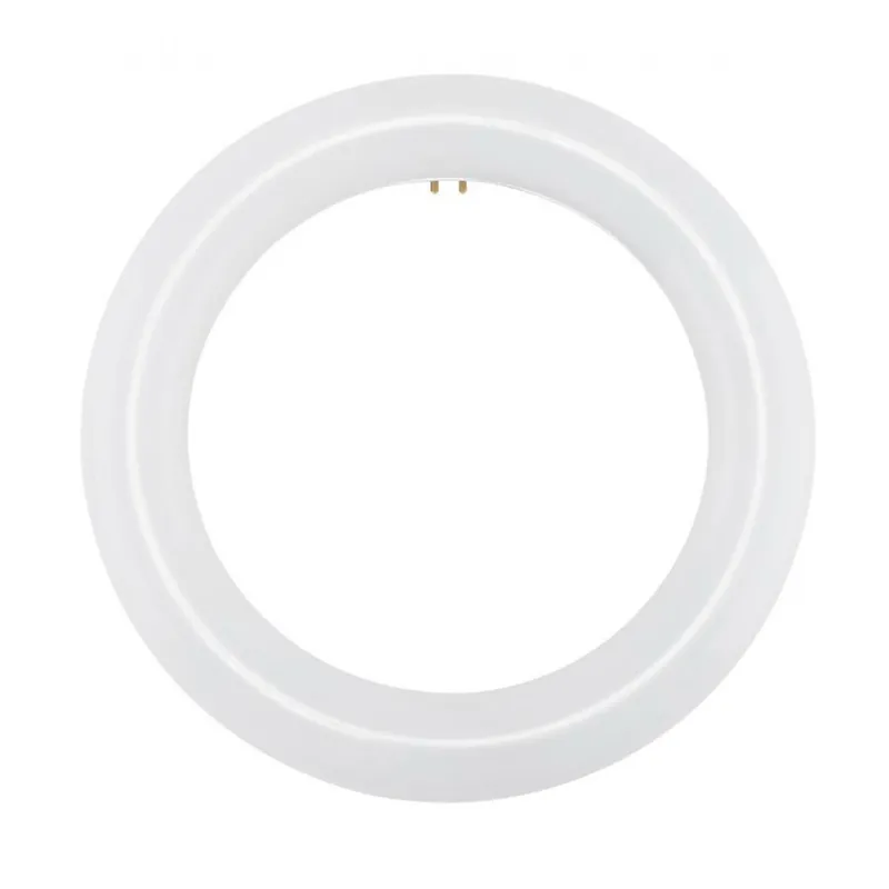 Satco S16502 LED Circline - 11 Watt - T9 - 6500K - G10Q Base - 120-277 Volts - Ballast Bypass
