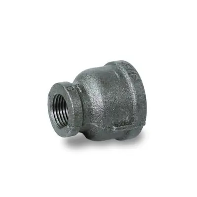 SK0513099-US20260702-105043-0 Everflow BMRC1002 1 x 1/2 Black Reducing Coupling - Image 1