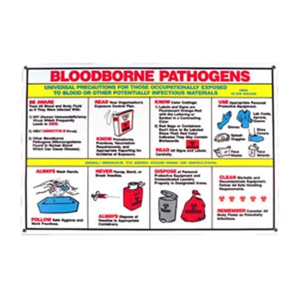 SK0514580-US20260702-105043-0 Brady 45849 Biohazard Safety Poster 1 Each - Image 1